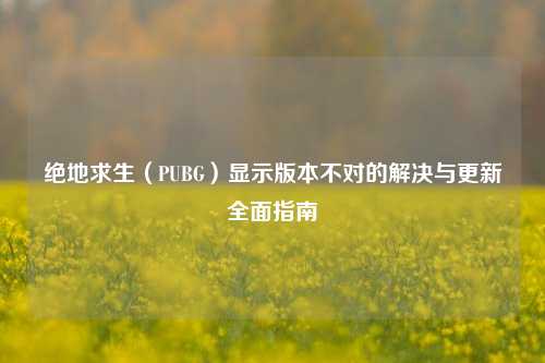 绝地求生（PUBG）显示版本不对的解决与更新全面指南