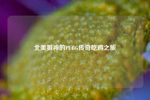 北美狙神的PUBG传奇吃鸡之旅