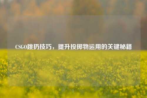 CSGO跳扔技巧，提升投掷物运用的关键秘籍