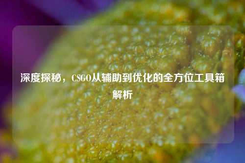 深度探秘，CSGO从辅助到优化的全方位工具箱解析