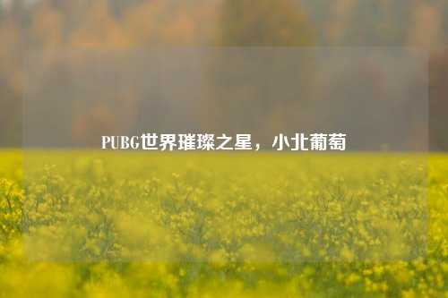 PUBG世界璀璨之星，小北葡萄
