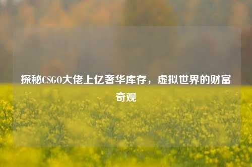探秘CSGO大佬上亿奢华库存，虚拟世界的财富奇观