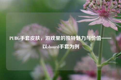 PUBG手套皮肤，游戏里的独特魅力与价值——以shourd手套为例