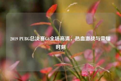 2019 PUBG总决赛G6全场高清，热血激战与荣耀时刻