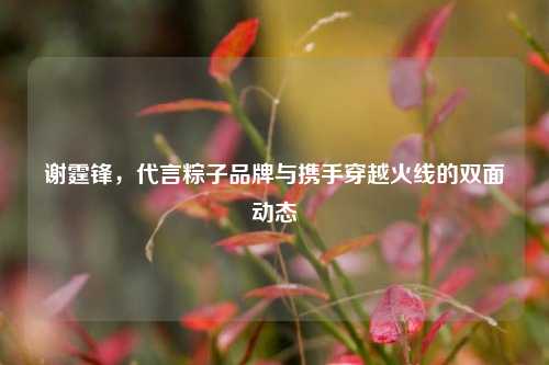 谢霆锋，代言粽子品牌与携手穿越火线的双面动态