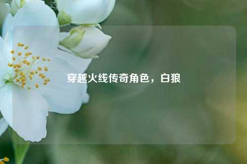 穿越火线传奇角色，白狼